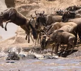 Serengeti National Park
