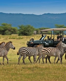 Game Drives