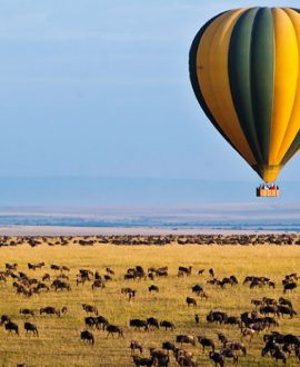 Hot Air Balloon Safaris