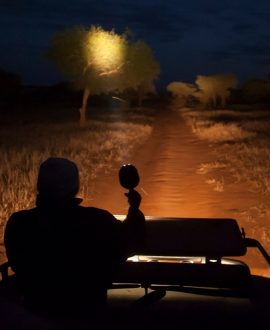Night Game Drives