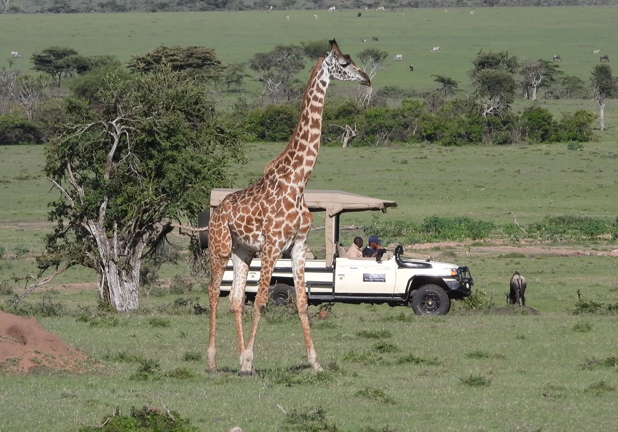 Open Sided Vehicle for Game Drives