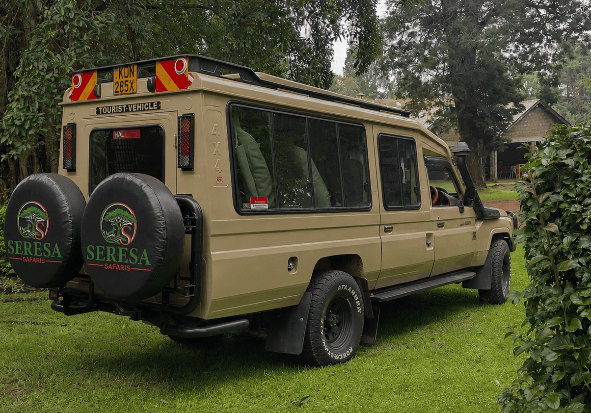 Seresa Tour Landcruiser (1)